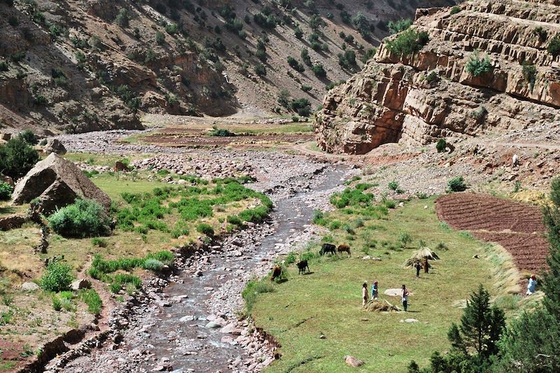 Vallée de l'Atlas central - Maroc