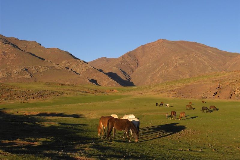 La vallée de la Tessaout - Maroc