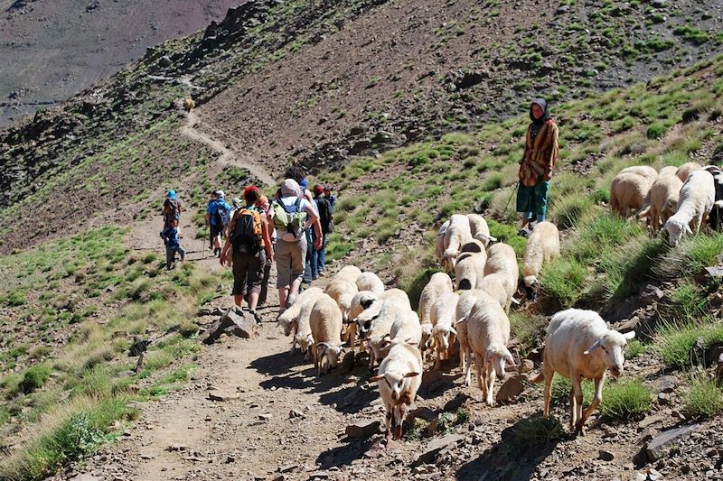 Randonnée dans la vallée de la Tessaout - Maroc