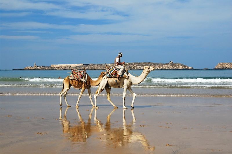 Randonnée chamelière le long du littoral marocain et visites de Marrakech et Essaouira.
