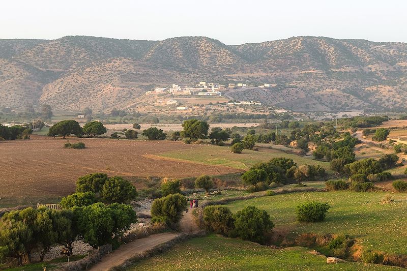 Environs de Tafedna - Province d'Essaouira - Maroc