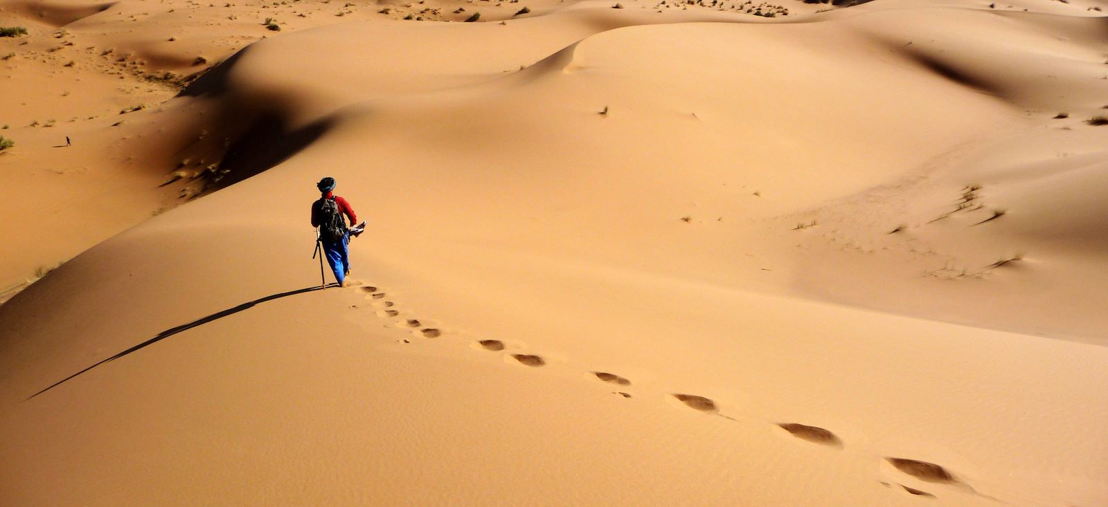Image Royaume des sables