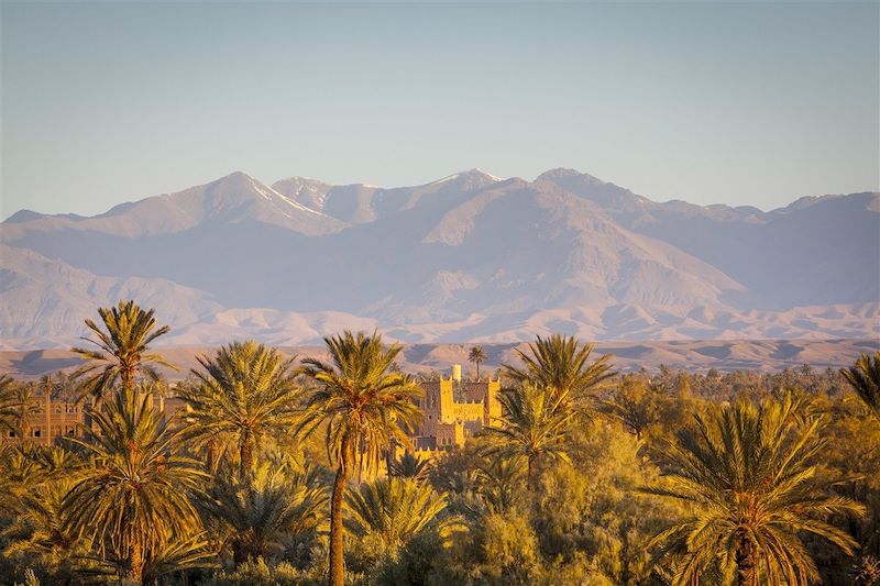 Palmeraie de Skoura - Maroc