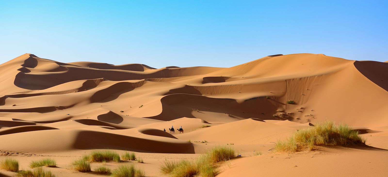 Image Royaume des sables