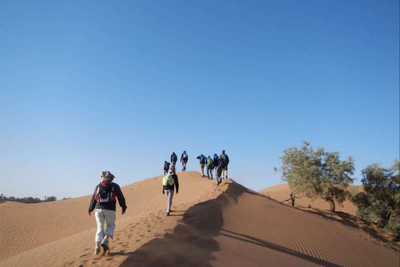 Dunes de M’Hamid - Maroc