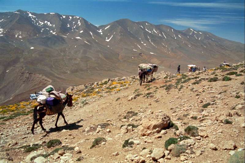 Du M'Goun au Toubkal : Traversée de l'Atlas
