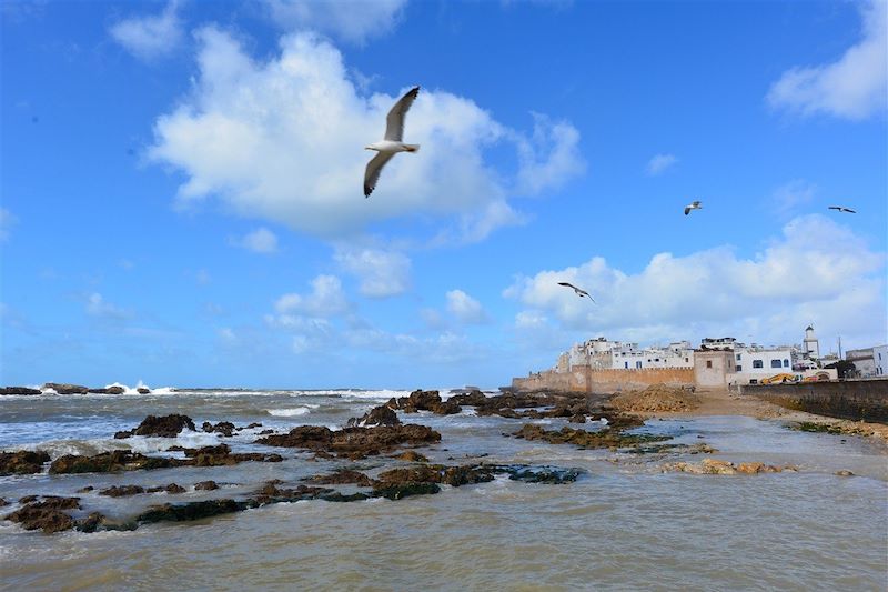 Rando & hammam à Essaouira