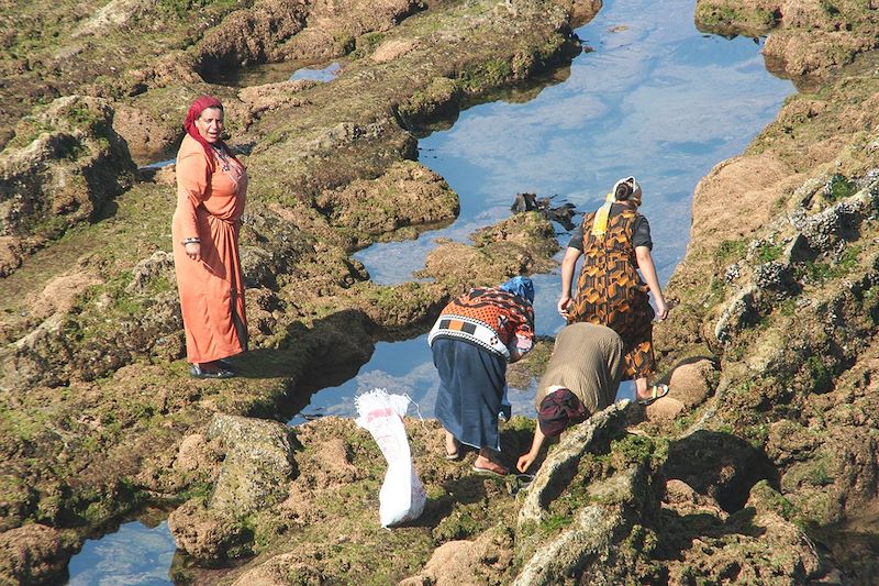 Environs d'Essaouira - Maroc