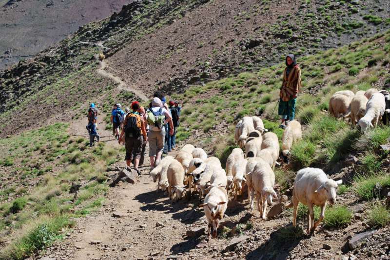 Du M'Goun au Toubkal : Traversée de l'Atlas