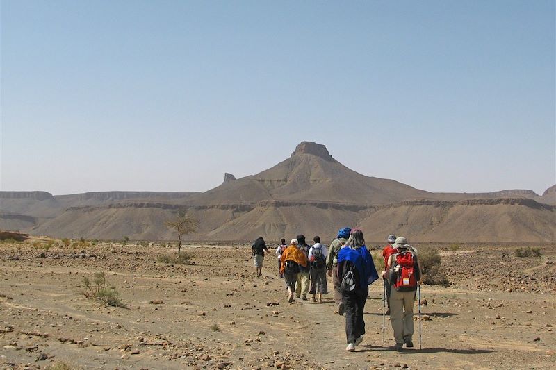 Randonnée sur le plateau au pied du massif du Djebel Banidans - Vallée du Drâa - Maroc