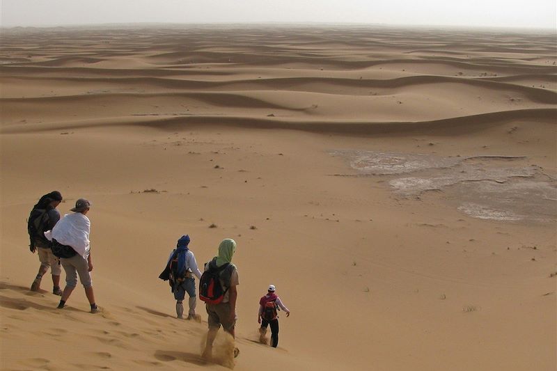 L'or du Grand Sud !