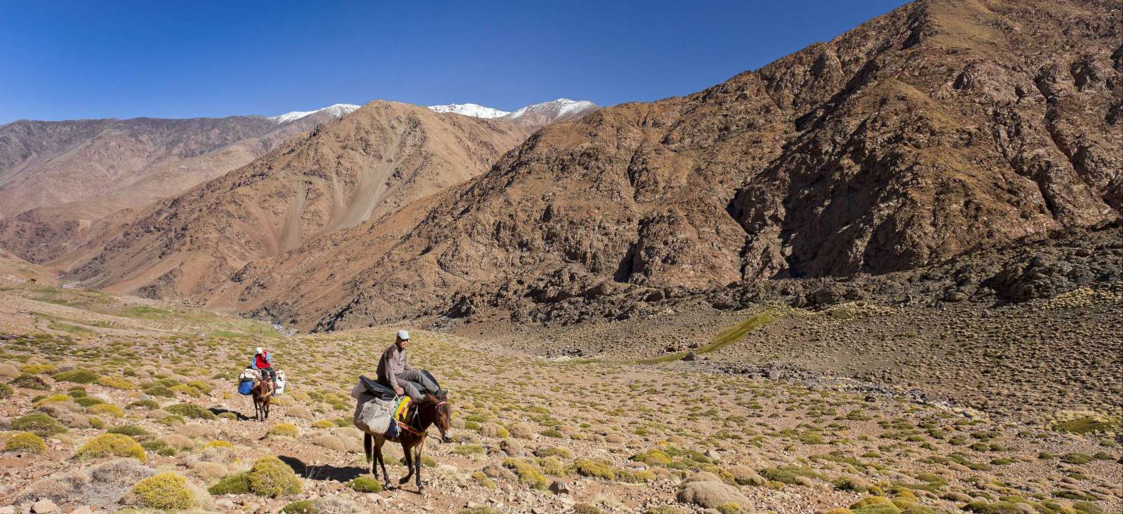 Voyage avec des animaux Maroc : L\'Atlas, la mule et le carnet de route Voyage avec des animaux Maroc : L\'Atlas, la mule et le carnet de route