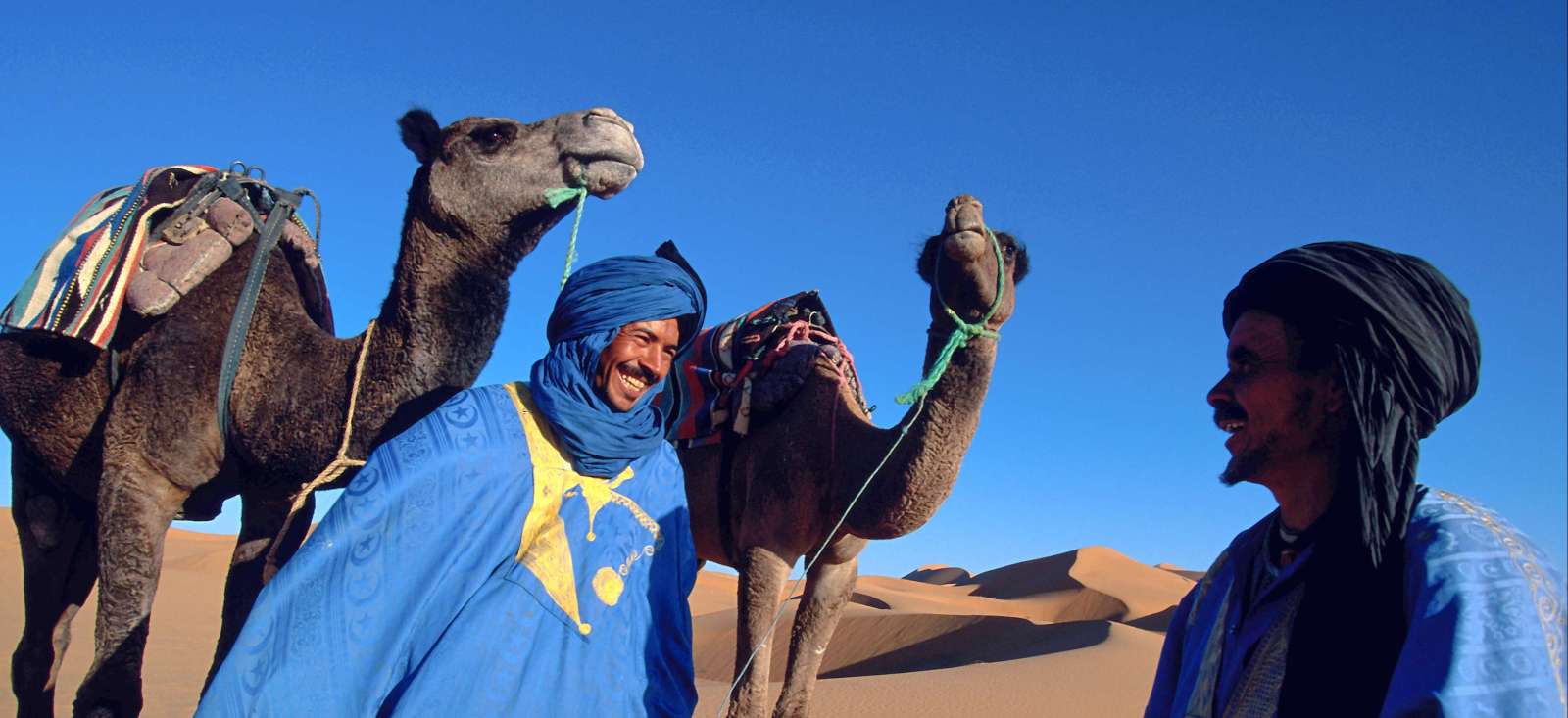 Trek - Royaume des sables