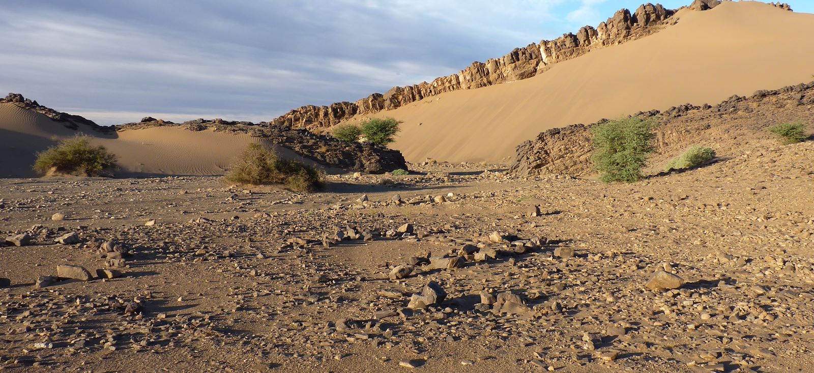 Image Des dunes de Foum Tizza aux casbahs du Drâa