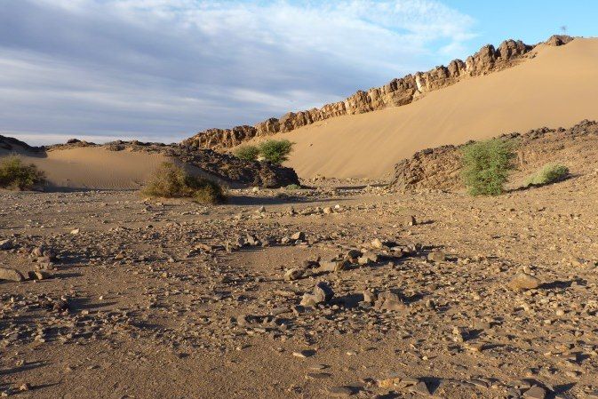 Désert de Tazzarine - Maroc