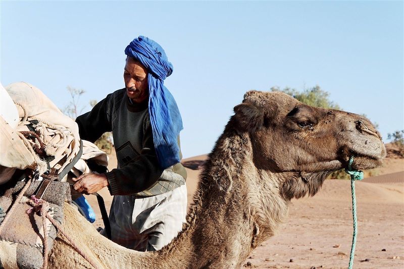 Des dunes de Foum Tizza aux casbahs du Drâa