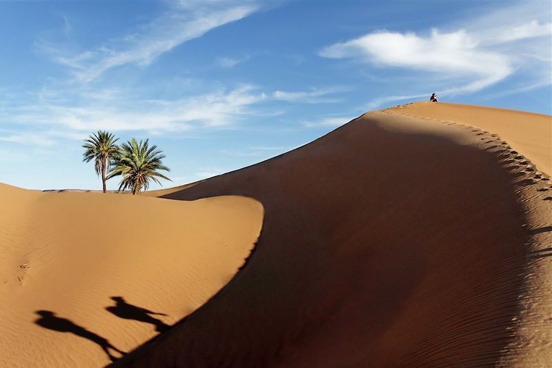 Des dunes de Foum Tizza aux casbahs du Drâa