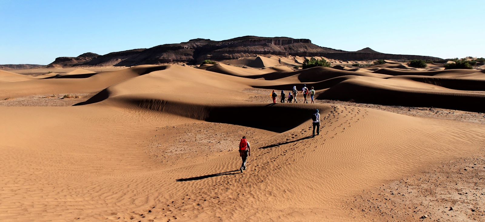 Image Des dunes de Foum Tizza aux casbahs du Drâa