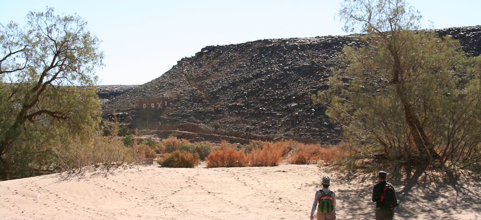 Image Des dunes de Foum Tizza aux casbahs du Drâa