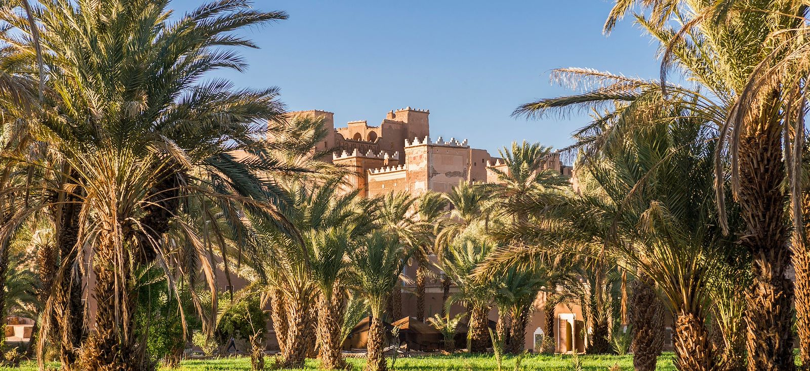 Image Des dunes de Foum Tizza aux casbahs du Drâa
