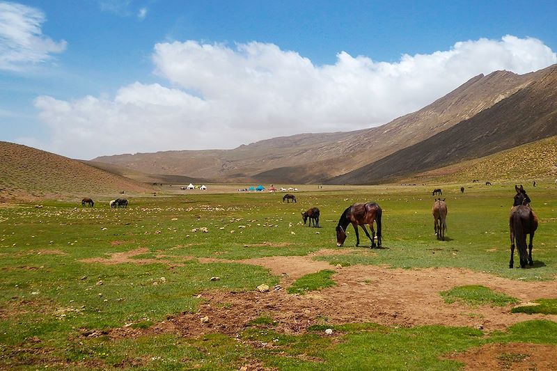 Tarkedit - Haut Atlas - Maroc