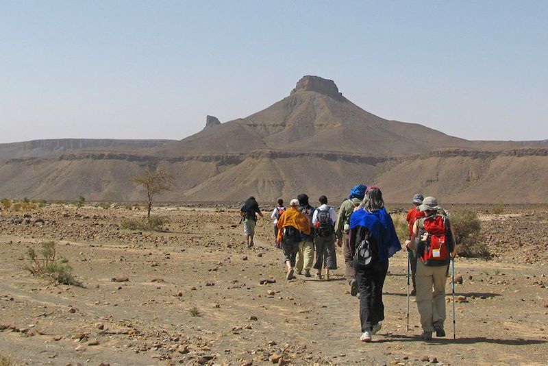 Randonnée sur le plateau au pied du massif du Djebel Banidans - Vallée du Drâa - Maroc