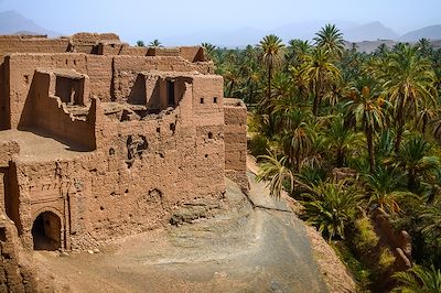 Aventure intérieure au cœur du Sahara 4