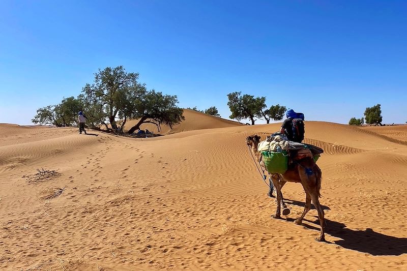 Randonnée de l'Oued M'hasser à Erg Abidliya - Maroc