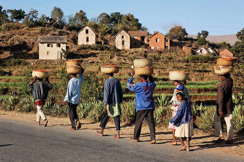 Entre Antsirabe et Miandrivazo, descente de la Rivière Tsiribihina - Madagascar