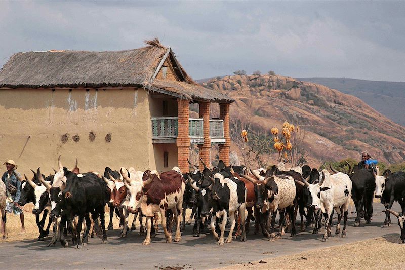 Sur la route entre Ranohira et Fianarantatsoa - Madagascar