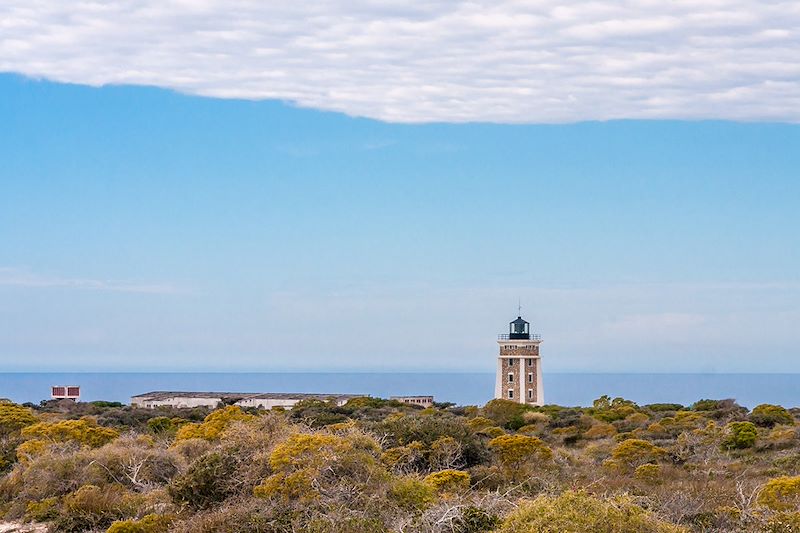 Cap Sainte-Marie - Androy - Madagascar