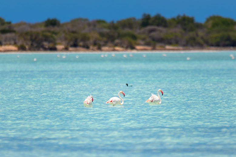 Lac du Parc national de Tsimanampetsotsa - Madagascar
