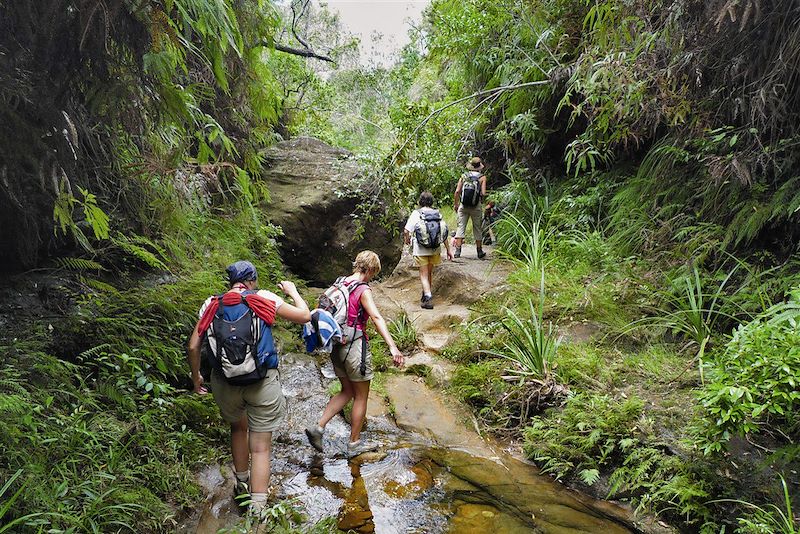 Canyon des Makis - Massif de l'Isalo - Madagascar