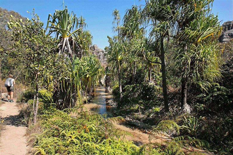 Parc national de l'Isalo - Région d'Ihorombe - Madagascar