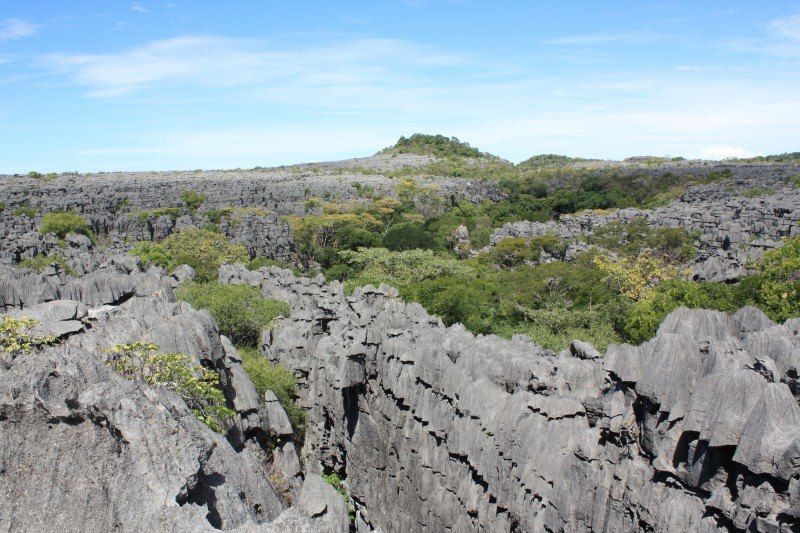 Massif de l'Ankarana - Madagascar