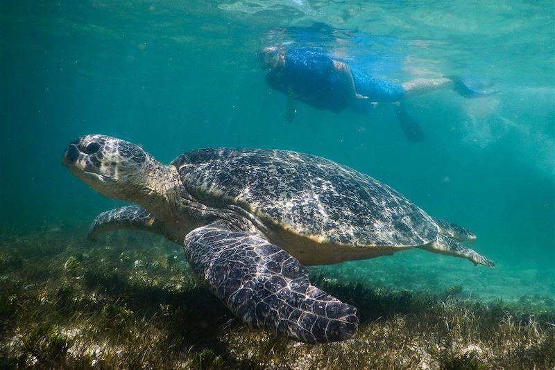 Île de Sakatia - Madagascar