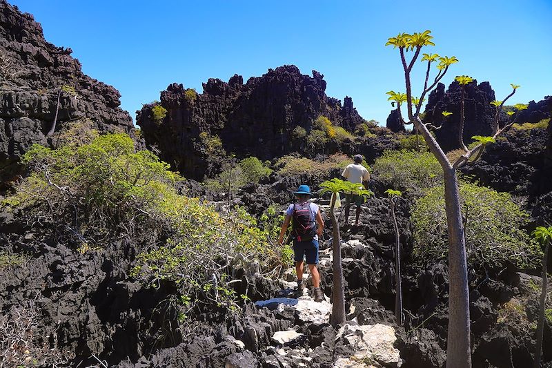 Randonnée sur l'île de Nosy Hara - Nord de Madagascar