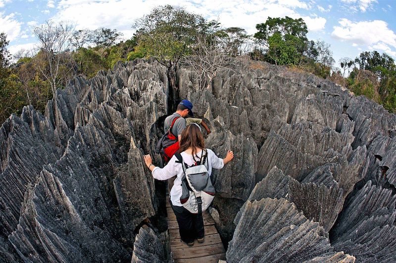 Parc national Tsingy de Bemaraha - Région de Melaky - Madagascar