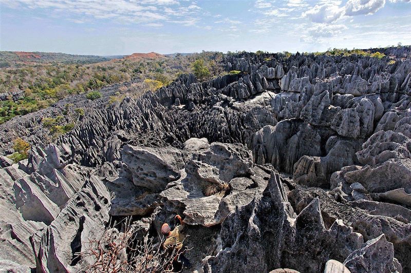 Parc national Tsingy de Bemaraha - Région de Melaky - Madagascar