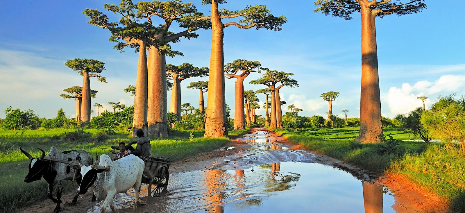 Trek - Baobabs, Tsingy et rencontres malgaches