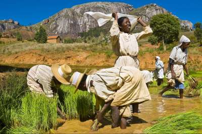 voyage Madagascar