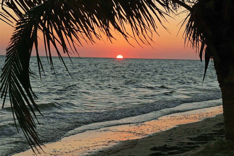 Sur la plage à Ifaty - Région Atsimo Andrefana - Madagascar