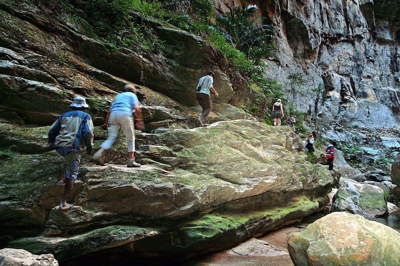 Parc national de l'Isalo - Région d'Ihorombe - Madagascar