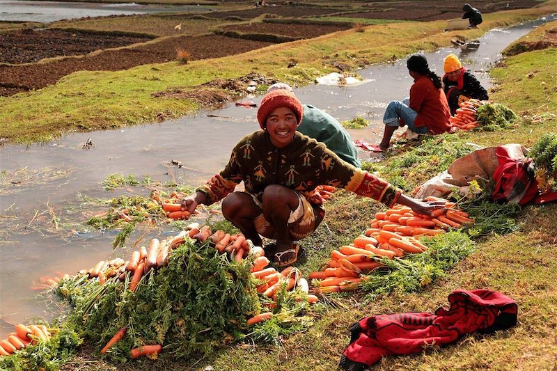 Entre Antsirabe et Antananarivo - Madagascar