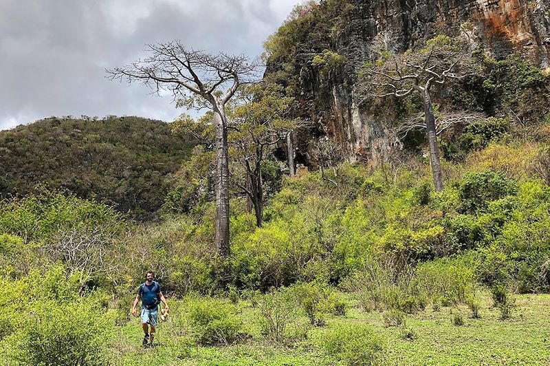 Vallée des Perroquets dans la Montagne des Français - Nord de Madagascar