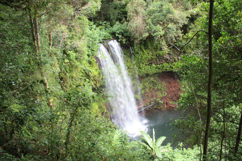 Parc national de la Montagne d'Ambre - Madagascar