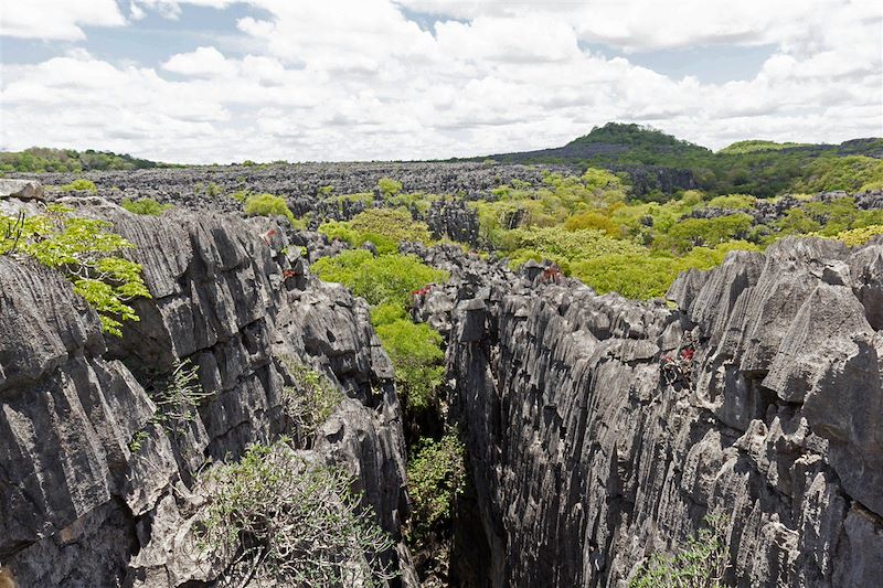 Tsingy dans le parc national d'Ankarana - Madagascar