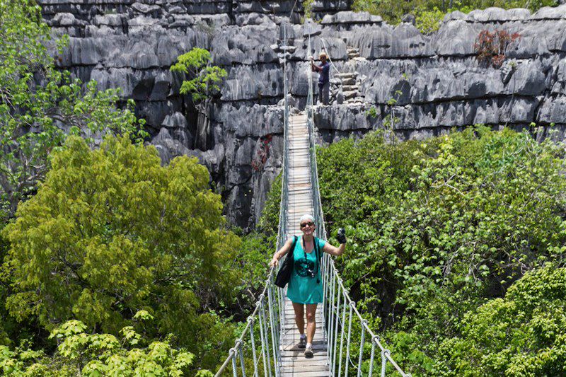 Tsingy dans le parc national d'Ankarana - Madagascar