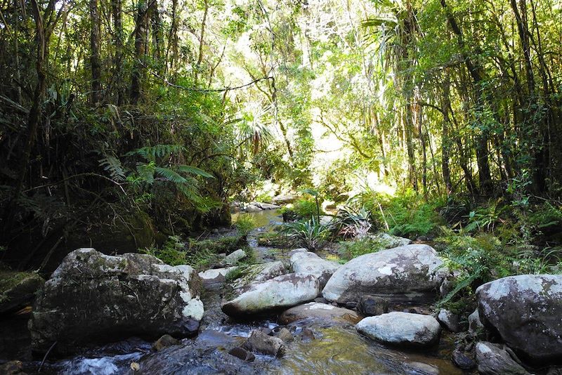 Parcs Nationaux de Périnet et de Mantadia - Madagascar