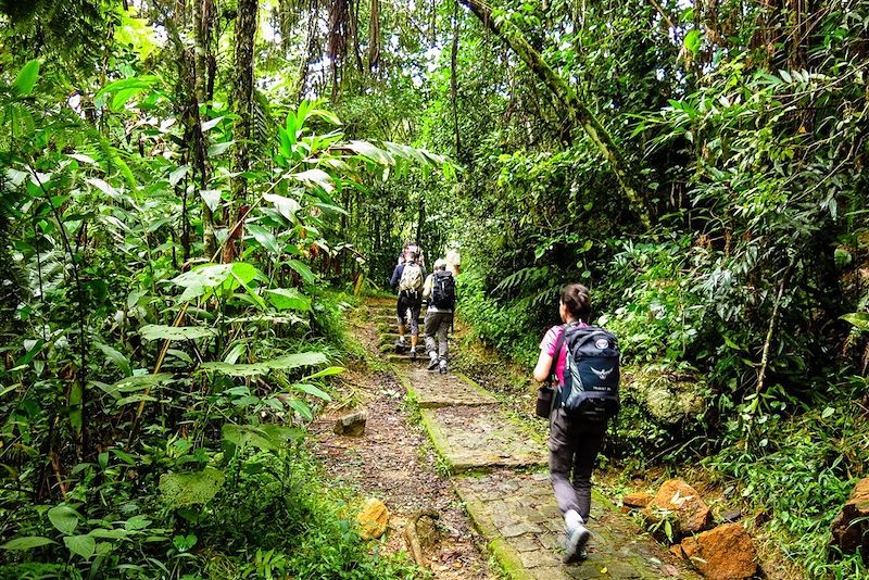 Parc national de Ranomafana- Madagascar